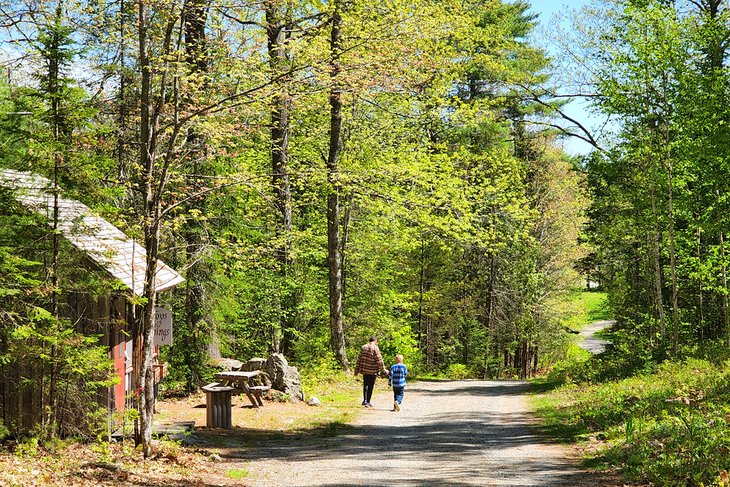 Maine Forest and Logging Museum at Leonard's Mills