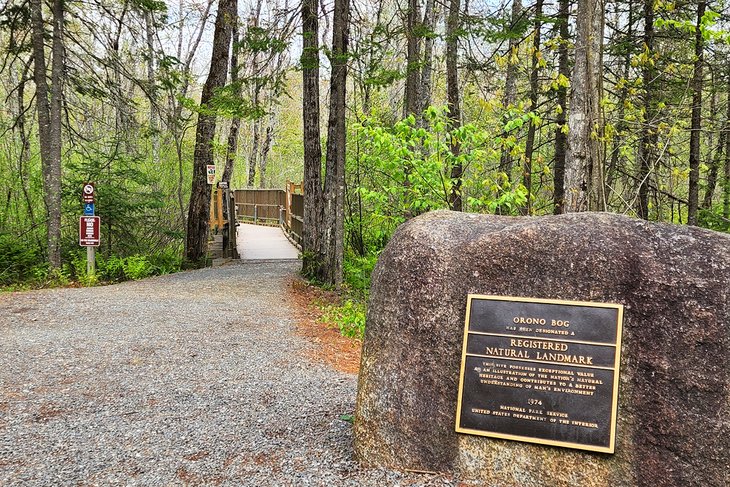 Orono Bog Walk