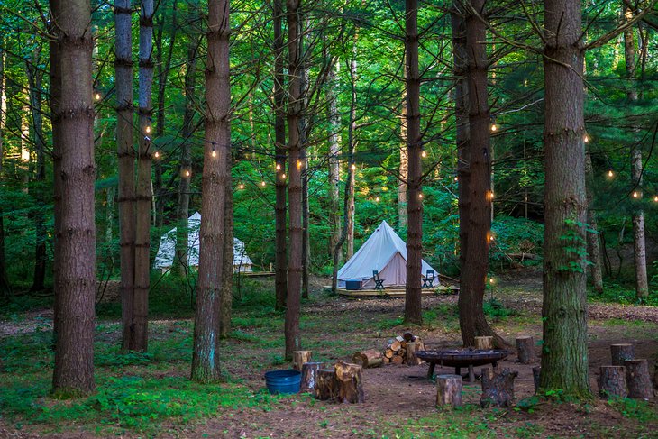 Glamping in the woods
