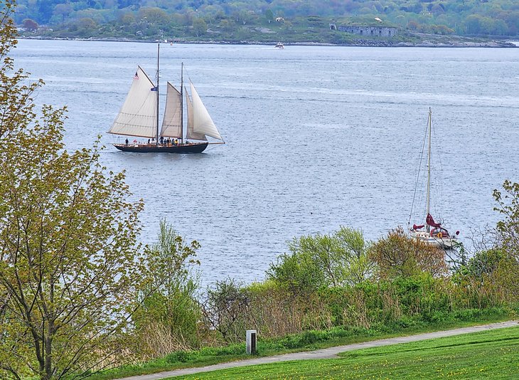 Windjammer in Portland Harbor