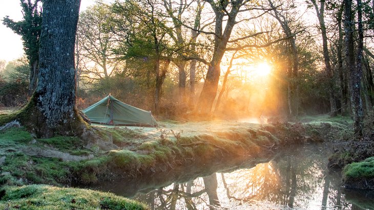 A tent in the early morning light