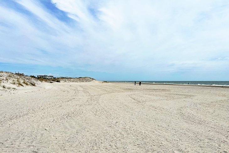 Avalon Beach