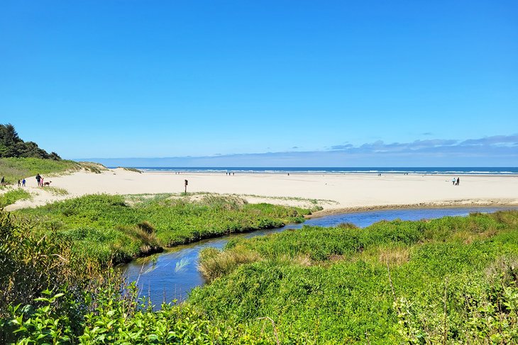 11 mejores playas cerca de Newport, Oregón