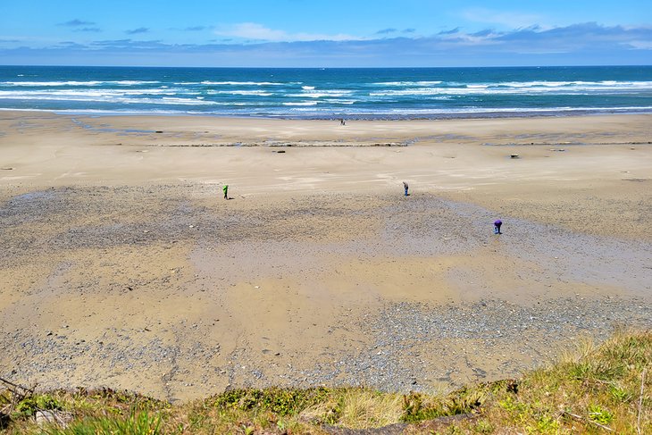 11 mejores playas cerca de Newport, Oregón