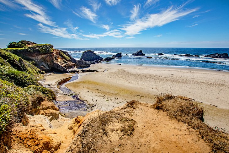 11 mejores playas cerca de Newport, Oregón