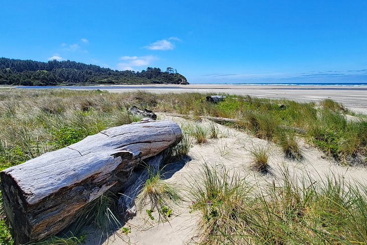 11 mejores playas cerca de Newport, Oregón