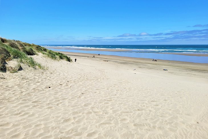 11 mejores playas cerca de Newport, Oregón