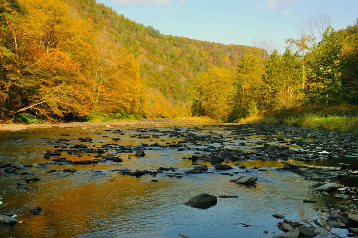 Pine Creek Gorge on the Turkey Path Trail