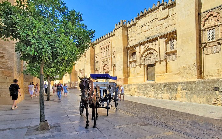 Horse and carriage at the Mezquita