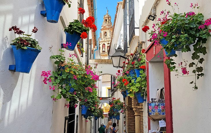 Calleja de las Flores