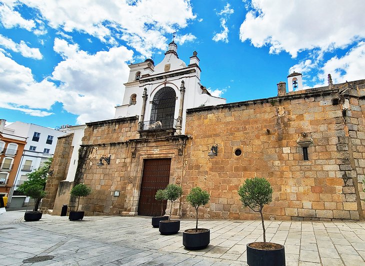 Concatedral de Santa María de la Asunción