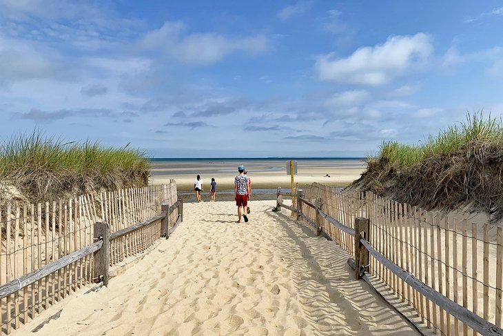 Beach on the Cape Cod Peninsula