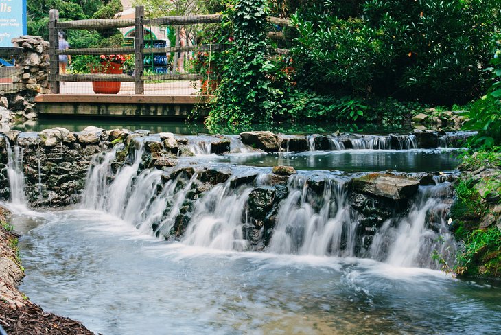 Waterfall in Busch Gardens