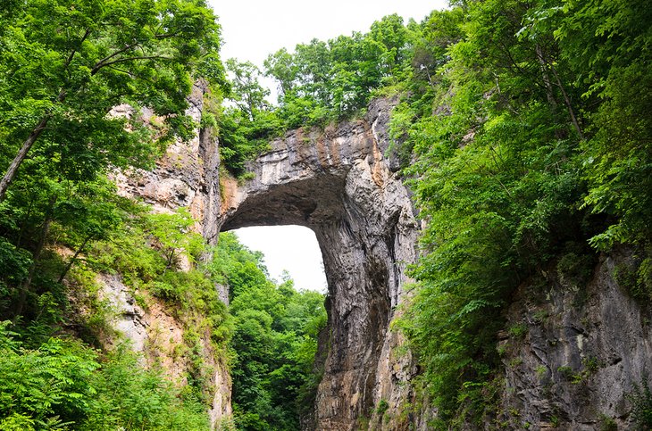 Natural Bridge of Virginia