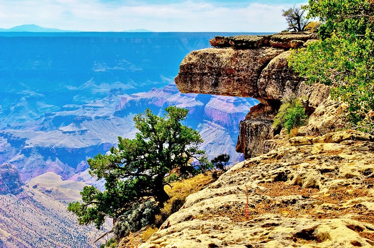 View of the Grand Canyon from the Widforss Trail