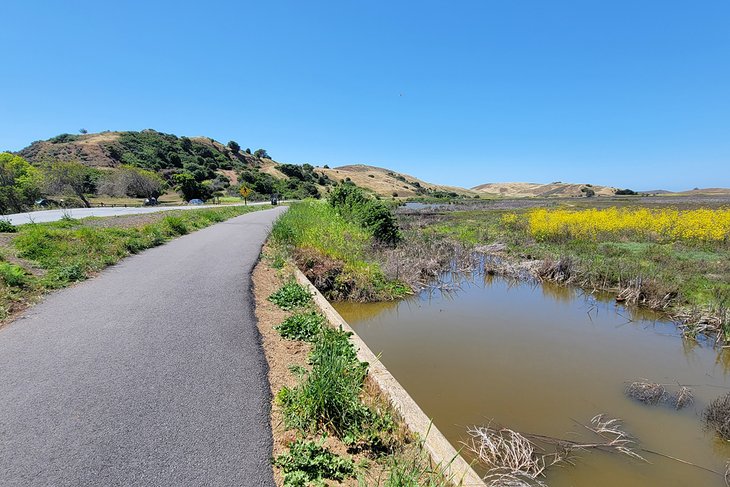 Coyote Hills Regional Park