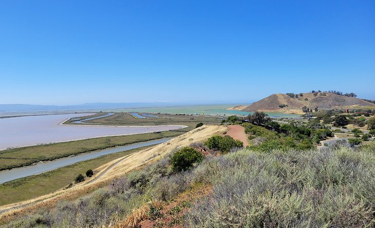 Don Edwards San Francisco Bay National Wildlife Refuge