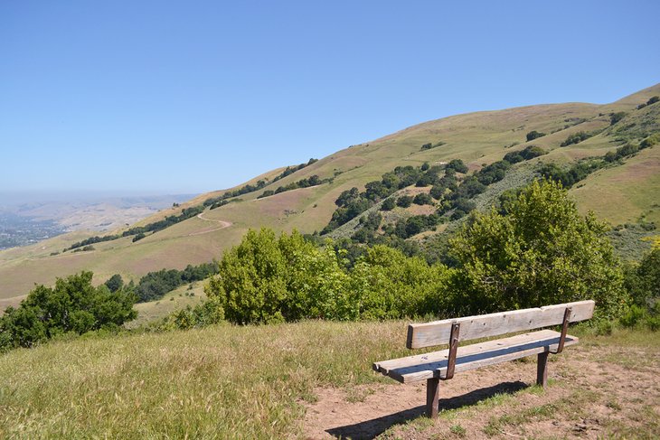 Viewpoint in Mission Peak Regional Preserve