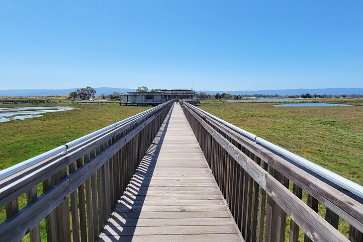 Baylands Nature Preserve