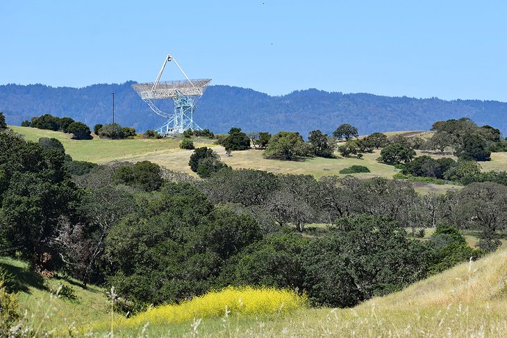 Stanford Dish