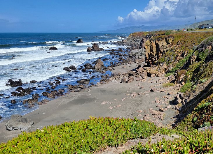 Sonoma Coast State Park