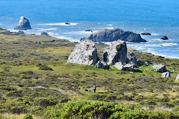 Sonoma Coast State Park