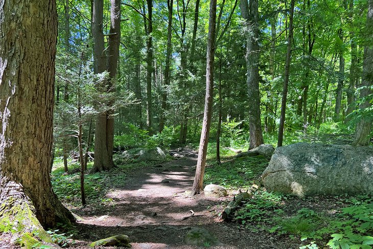 Cotton Hollow Preserve