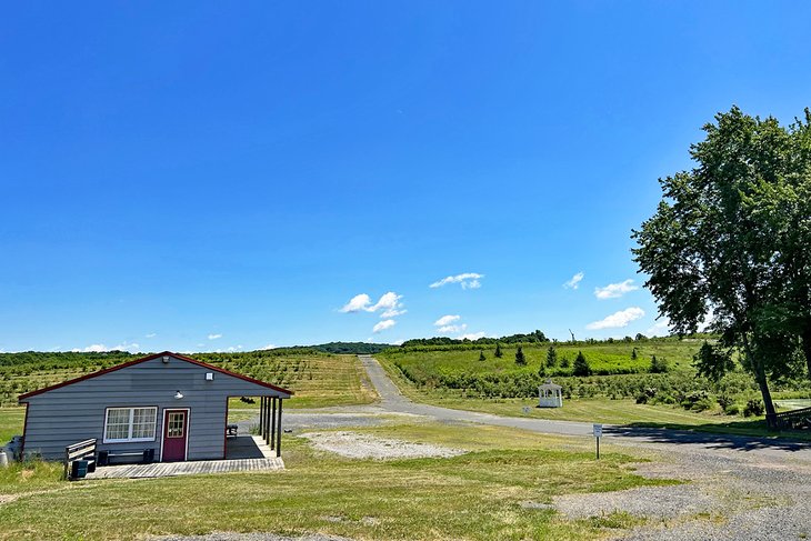 Rose's Berry Farm