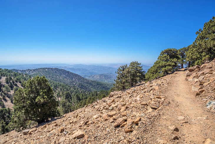 Atalanti Nature Trail in the Troodos Mountains