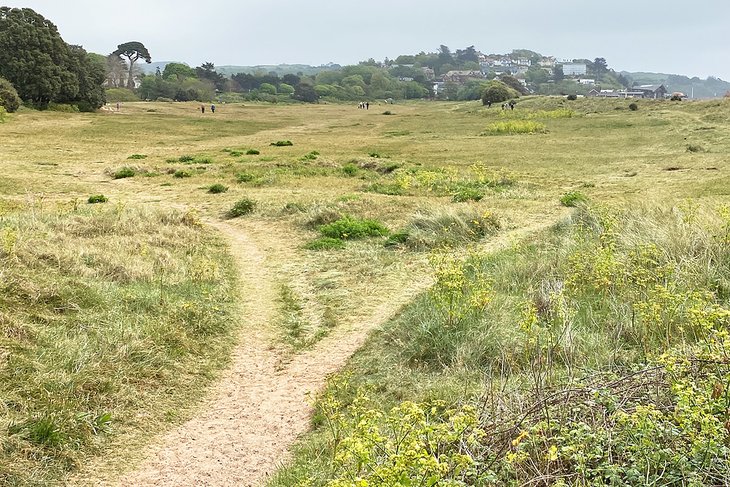 Exmouth and Orcombe Point Walk