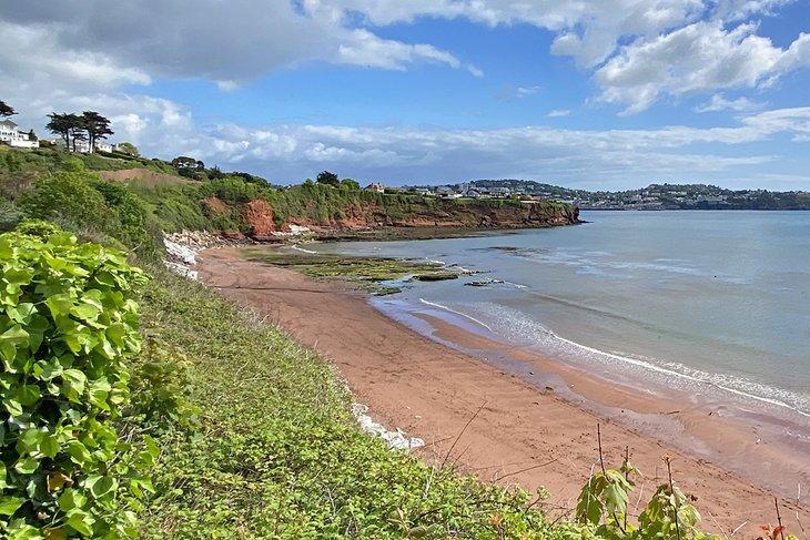 Hollicombe Beach