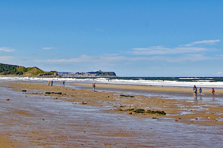 Beach at Cayton Bay