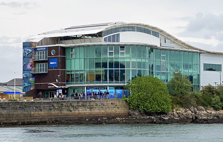 National Marine Aquarium