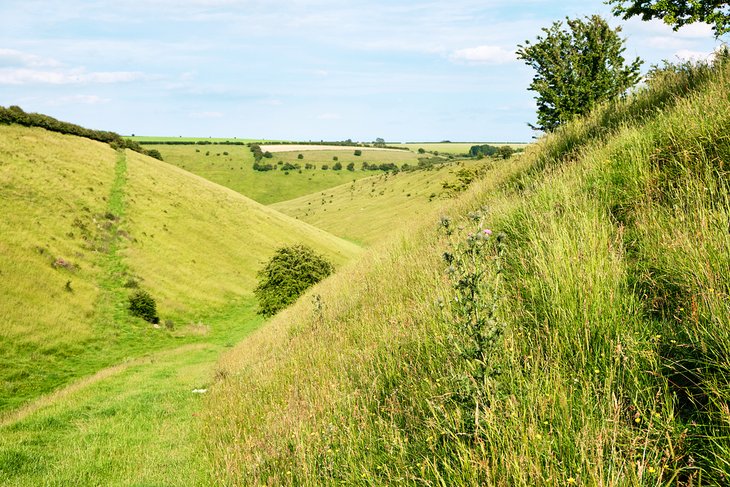 Yorkshire Wolds Way