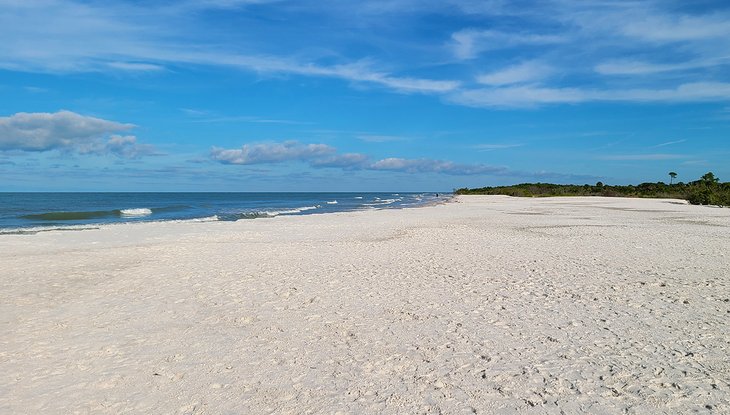 A beach on Honeymoon Island