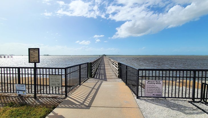 View from Weaver Park in Dunedin