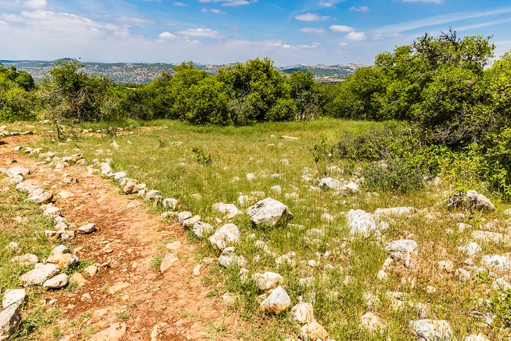 Roe Deer Trail in the Ajloun Forest Reserve