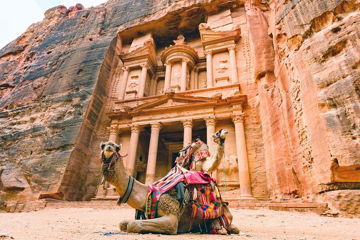 Camels in front of the Treasury at Petra