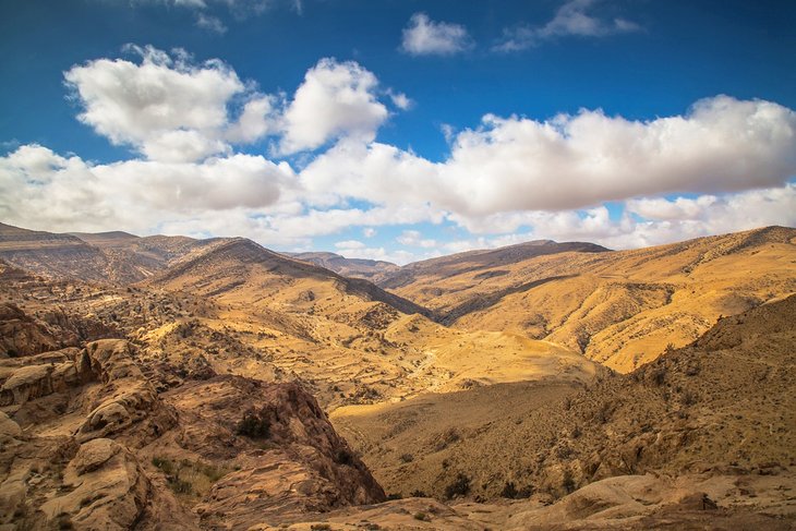 Dana Biosphere Reserve