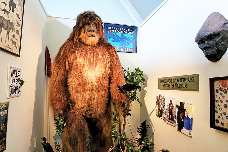 International Cryptozoology Museum