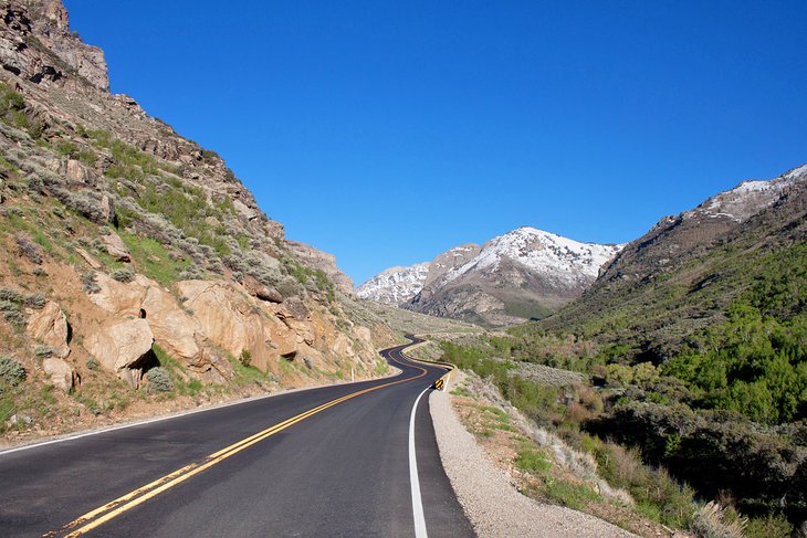 A road running through Lamoille Canyon