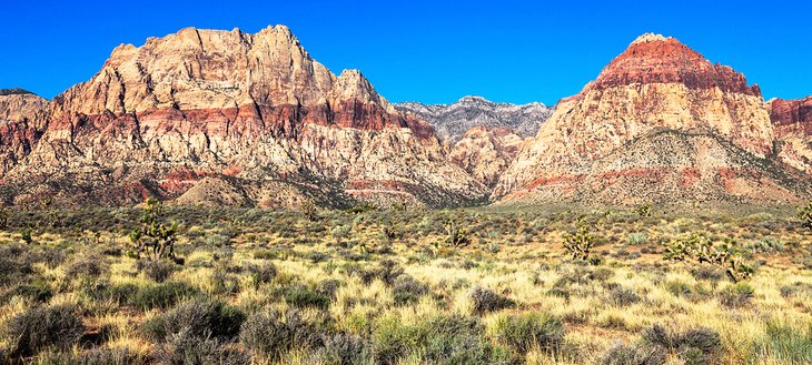 Red Rock Canyon Conservation Area