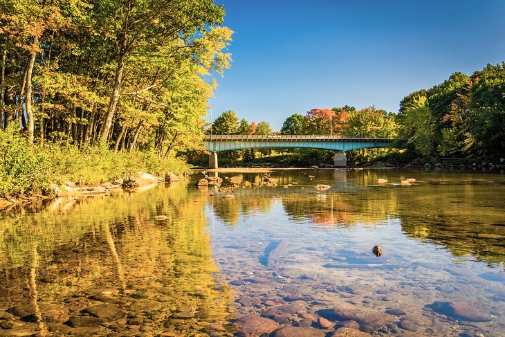 Fall colors along the Saco River