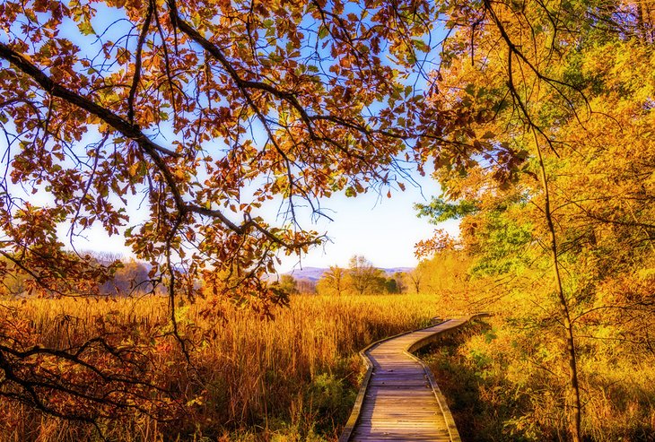 Boardwalk in Wawayanda State Park near the Crystal Springs Resort in New Jersey