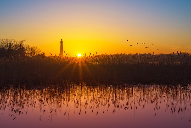 Cape May lighthouse at sunset