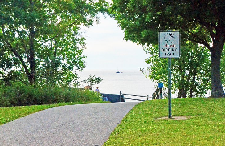 Lake Erie Birding Trail