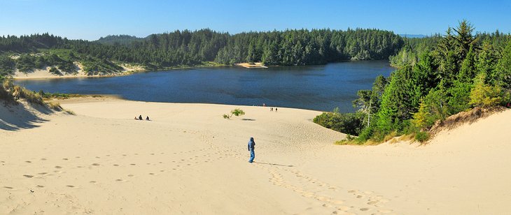 Honeyman State Park