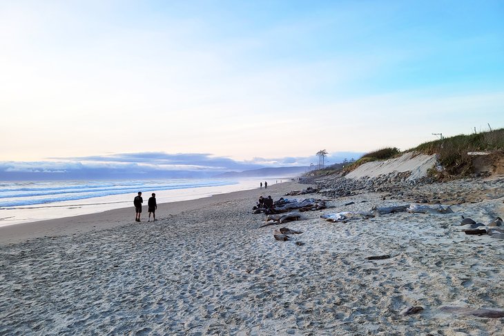 Hikers heading out onto Netart's Spit