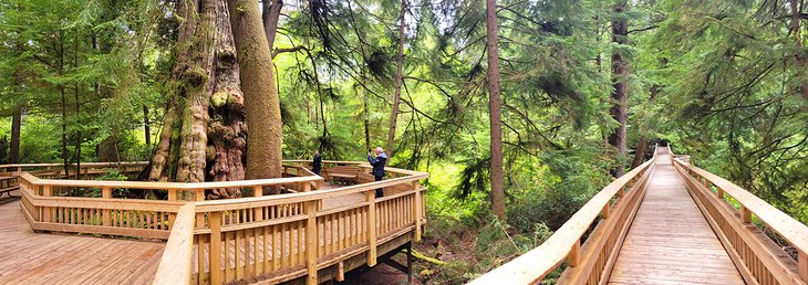 Cedar Wetlands Nature Preserve