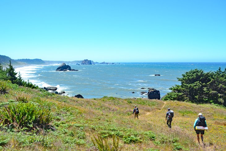 Hiking on the Oregon Coast